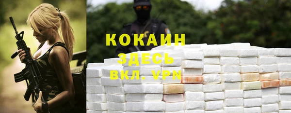 гидра Яранск