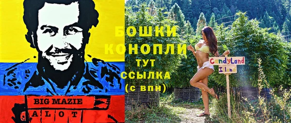 индика Яровое