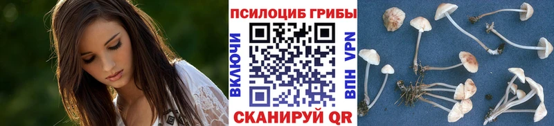 даркнет сайт  Белоусово  Псилоцибиновые грибы Psilocybe 